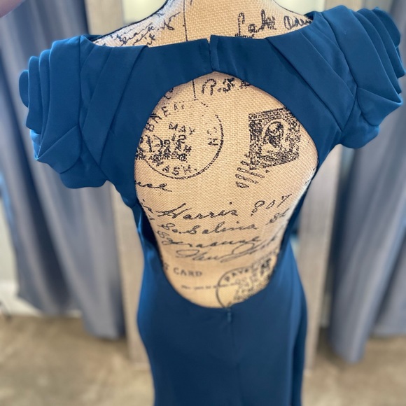 ABS rose sleeved dress - Picture 2 of 15